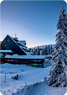 Mountain Chalets